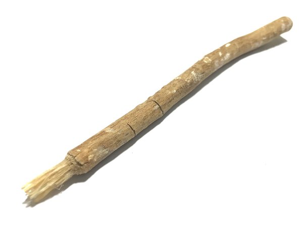 Siwak : l'outil naturel pour des dents éclatantes et saines